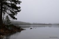 08. Foggy lake Sweden _antoon loomans_0335