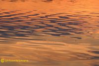 08. Orange Water antoon loomans